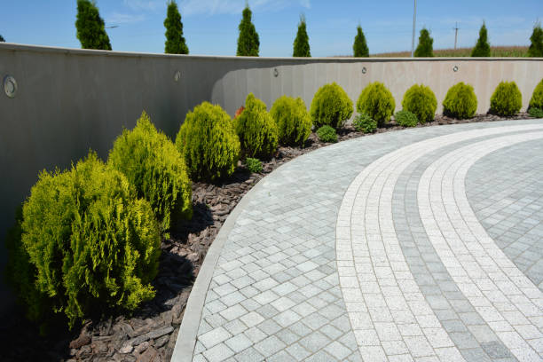 Best Concrete Paver Driveway  in Solomon, KS